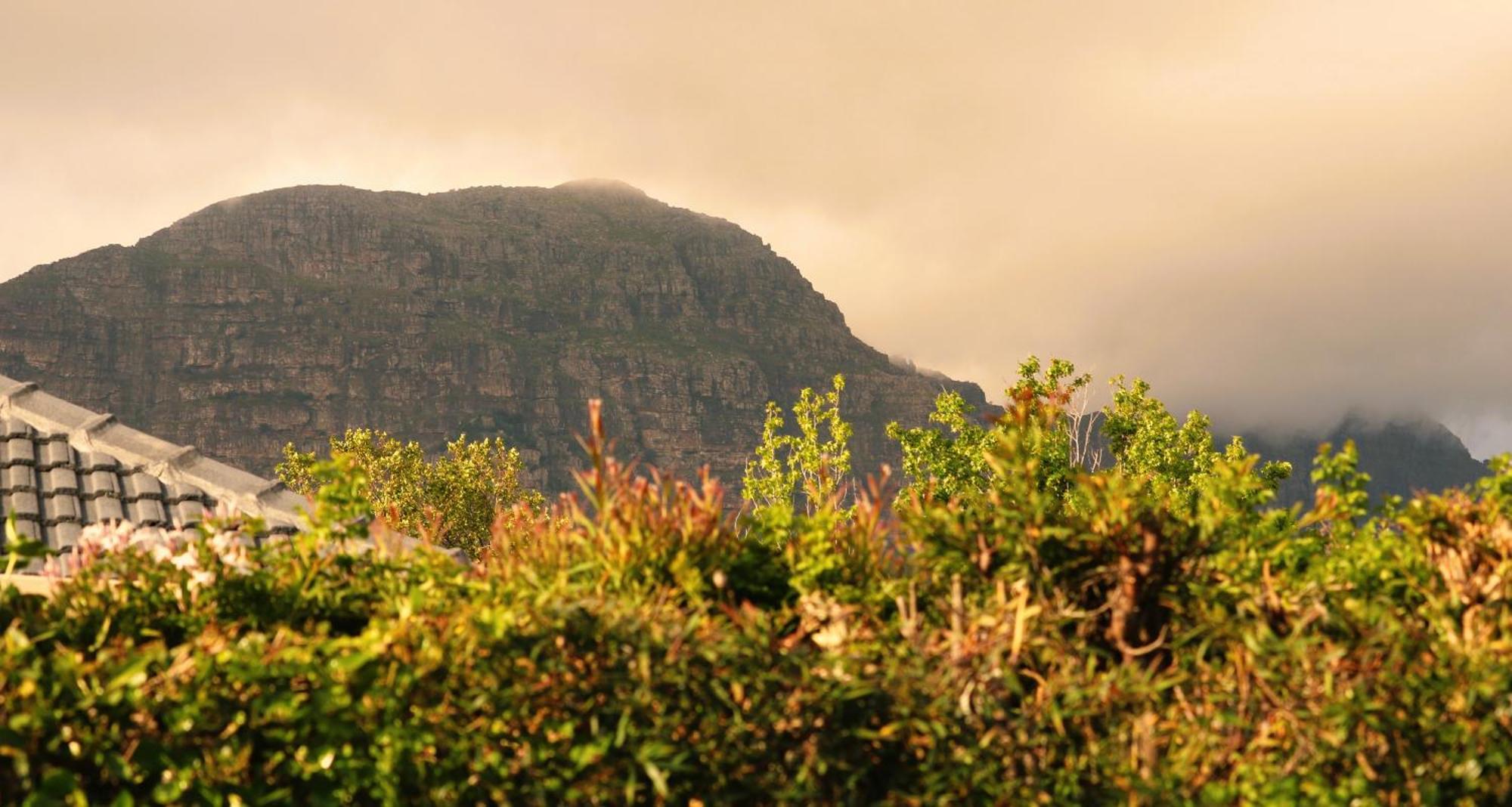 The Olive Terrace Villa Cape Town Exterior photo